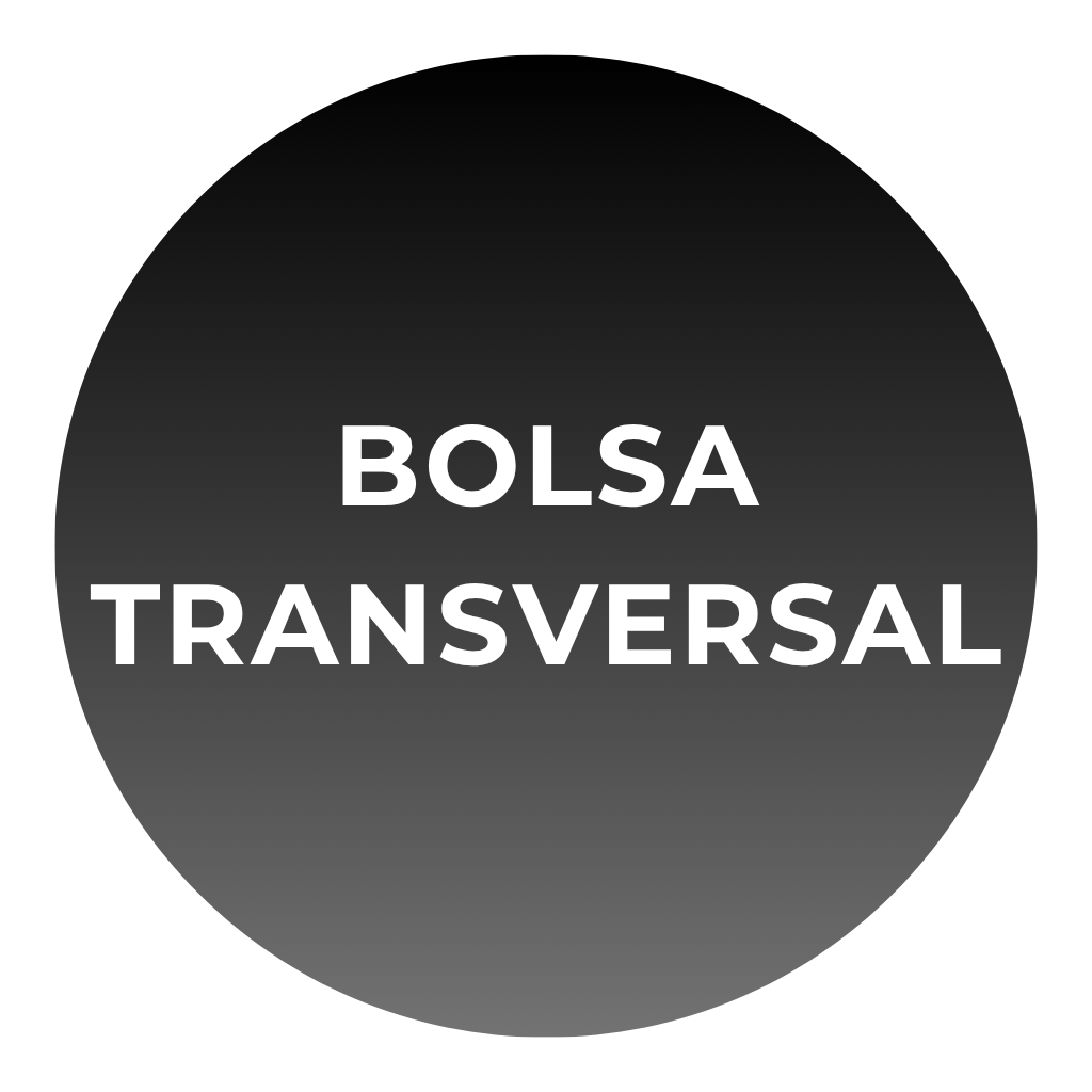 Coleção de bolsas transversais femininas Saybeleze com design moderno, elegante e funcional para o dia a dia.